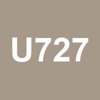 Kamenná šedá - U727